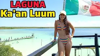 Tulum Lagoon, Quintanaroo, M&eacute;xico 🇲🇽