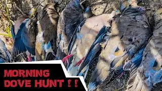 Early Season Dove Hunting | Awesome Action!