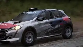 Assetto Corsa Rally - Cwmbiga, Afon Biga - Rally 4, Peugeot 208 - 9th in the world.