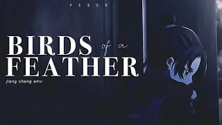 Jiang Cheng | Birds of a Feather | Mo Dao Zu Shi | AMV