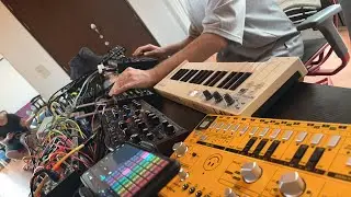 Live Electrojam