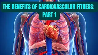 The Benefits of Cardiovascular Exercise Part 1 - Hubl Habit App