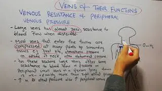 CVS physiology 74. Venous resistance & peripheral venous pressure,factors raising venous resistance