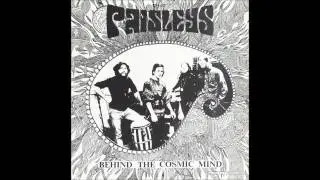 The Paisleys - Silver Surf and Cosmic Vibes (unreleased from '69)
