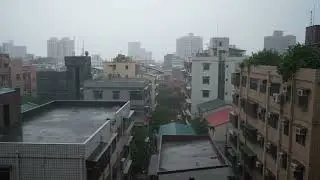 Urban Rainfall ASMR | Soothing Sounds for Deep Sleep & Relaxation