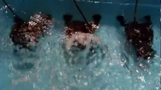 TUNZE&reg; Turbelle&reg; masterstream Tank, at Interzoo 2012