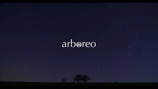 Peter J. Malmsj&ouml; - Break of Day [Piano Music, Relaxing Music]