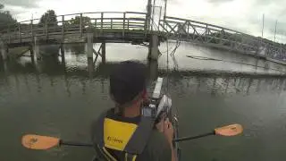 JP HAMMER SHAD DROP SHOT