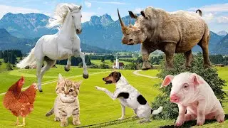 Cute and funny little animals: cat, dog, cow, pig, horse, elephant - animal sounds