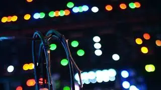 Orchid Nightmares (Garden Listener, Data Bender, Prism, Morphagene, Knit, SWN & Behringer 2600)