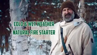 An Excellent Winter Tinder: White Birch Fire Made Easy (No Knife Needed)