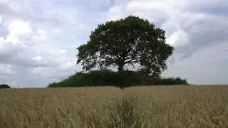 Mysselhoj, Gammel Lejre, Denmark