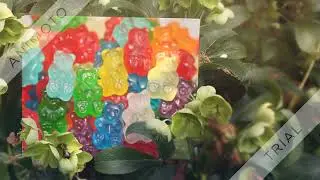 Nordic CBD Gummies Chemist Warehouse Australia: It Reduces Body Aches & Stress, Where To Buy?