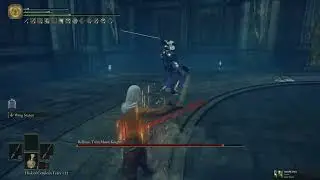 Rellana no hit - 0 Scadu RL 150 Dual bloody milady build