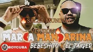 BEBESHITO ❌ EL TAIGER - MARCA MANDARINA 🍊 SALSA VERSION ( #repaton #reparto #salsacubana #remix