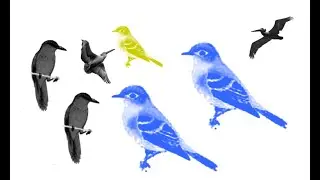 photoshop brushes download and how to use in tamil