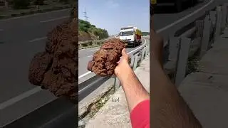 Cleaning a Forgotten Military Toy 🚛💦 Wait for the Final Look! 😲|#shorts