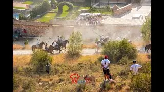 ENCIERRO CAMPERO DE BRIHUEGA  2022