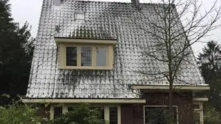Twello reinigen dakpannen zonder hoge druk