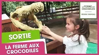 La Ferme aux Crocodiles : une journée en famille | CitizenKid.com