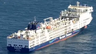 Livestock ship to return to Western Australia shore