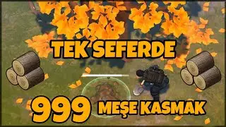 TEK SEFERDE 400 MEŞE KASILIR MI? - KAMPA HİÇ DÖNMEDEN MEŞE KASMA CHALLENGE