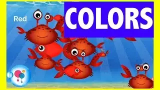 Learn COLORS with FISH SCHOOL - Play and Learn all about Colors