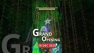 Park Street Kolkata Christmas 2025 | Park Street Kolkata | Kolkata Christmas Grand Opening #trending