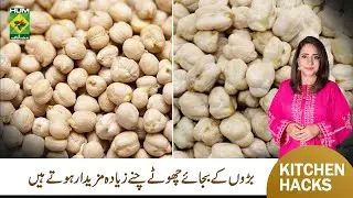 Which Type of Chana Tastes Better | Kitchen Hack | Rida Aftab | Masala TV