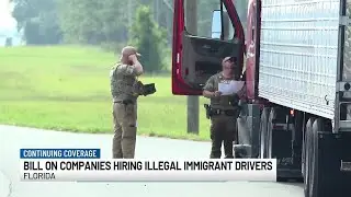 Florida bill would allow immediate impoundment of semi-trucks driven by undocumented immigrants