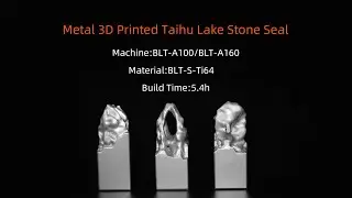 Metal 3D Printed Taihu Lake Stone Seal
