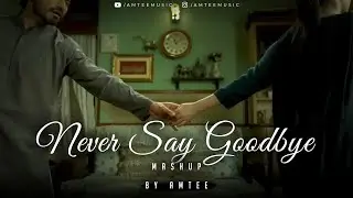 Never Say Goodbye Mashup | Amtee | Bollywood Lofi | Qaafirana | Tujh Mein Rab Dikhta Hai
