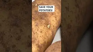 Don&rsquo;t Throw Out Sprouted Potatoes 🔥 #shorts