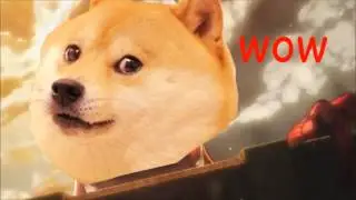 attack on doge