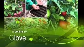 Gloves: Gardening 101