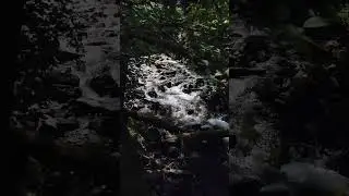 Feels relaxing #natural water flow 
