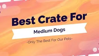 Best Dog Crate For Medium Sized Breeds