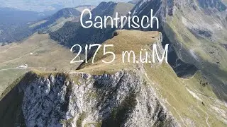 Gurnigel-Wasserscheide                                        auf den Gantrisch 2175 m.ü.M