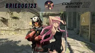 COUNTER STRIKE 2 ⚡ #1 TOP FRAGGER ⚡ BOT DESTROYER ⚡ CERTIFIED PROFIT