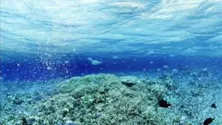 3ZA - The World Looks Different Underwater