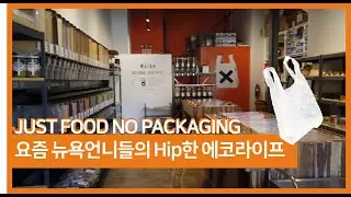 장바구니없이 쇼핑불가⛔ 뉴욕 브루클린 힙한 에코마트 | PRECYCLE | 환경의날 특집 🐸🕊🐛[직장인 한달살기_제16화]