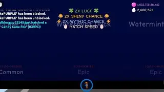 Hatching 2 Mythic Candy Cane Owl Bubble Gum Simulator | Christmas Update