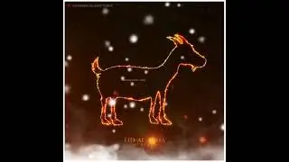 Eid Ul adha status 2021 | Eid Mubarak whatsapp status | Eid 2021 | Whatsapp status| Bakra eid status