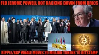 WTF! FED JEROME POWELL BRINGS PAIN TO BITCOIN & CRYPTO! IS RIPPLE/XRP WHALE READY TO SELL?