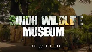 Sindh Ke Anmool Ratan | Hidden Library Of Karachi | Unfiltered Baatein