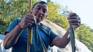 Asala Machha ( Himalayan Snow Trout) ,Nepal Fishing Adventure ,Surumkhim, Taplejung, TawaKhola