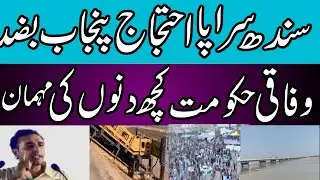 Sindh Protests Against Federal Government's Approval of 6 Canals in Cholistan, Punjab