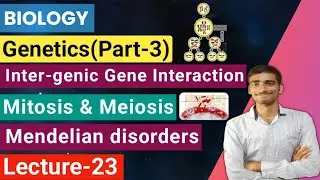 Biology| Lecture-23 Genetics(part-3)|Gene interaction |Mitosis & Meiosis |Mendelian disorders