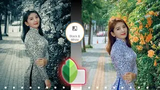 Snapseed Blue and Black Photo Editing | Just 2 Step - Dark and Blue Effect | Snapseed Photo Editing