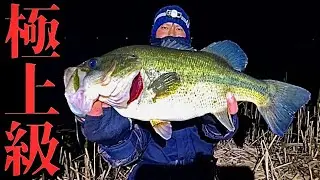 【琵琶湖】Vol.1 極上級のデカバスが釣れた！！